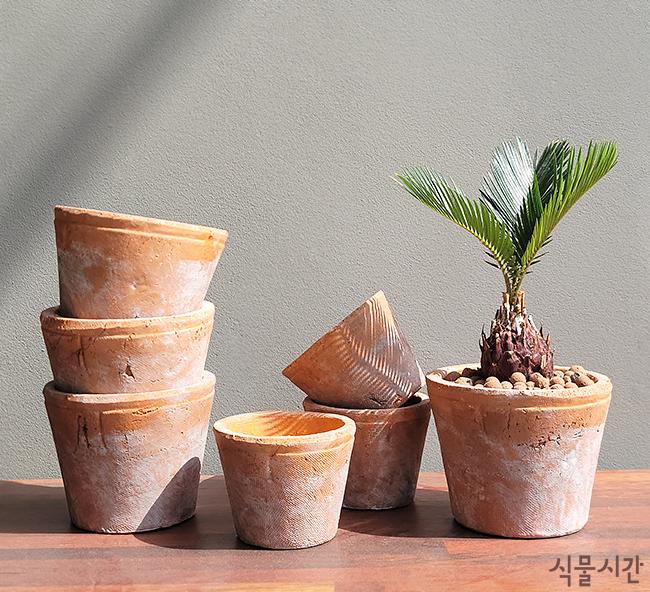 식물시간 cinu pot  2 size 시멘트 빈티지 토분 미니 화분 브릭색 다육 원형 화기