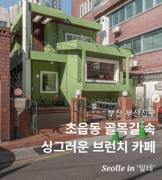  seollein.busan #잎테