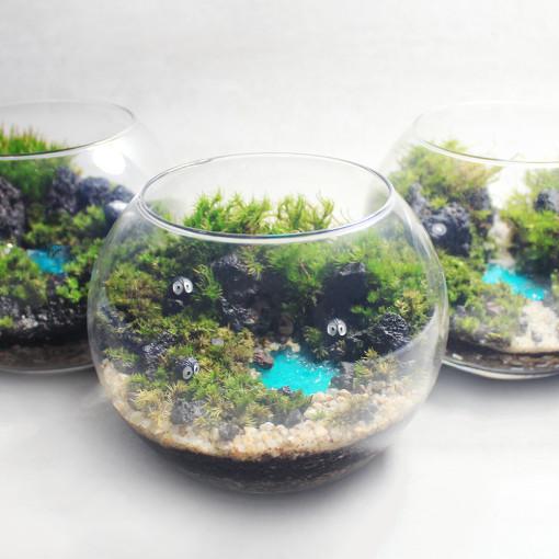 나만의둥근숲섬 미니 테라리움 키트 만들기 DIY 이끼테라리움