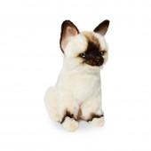 [한사토이] 8230 랙돌아기고양이/26cm.L