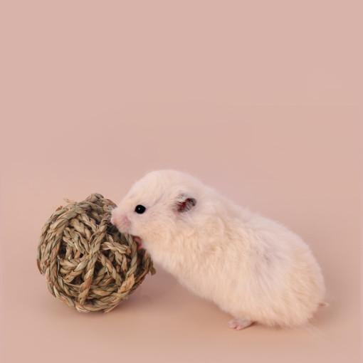 타핏 햄스터장난감 햄스터이갈이공 1+1