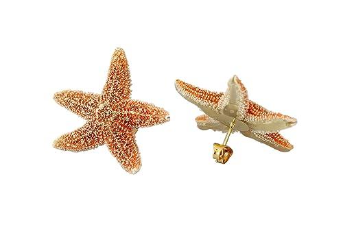 Real Starfish Earrings