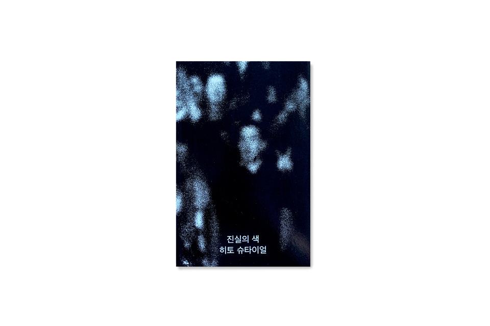 진실의 색: 미술 분야의 다큐멘터리즘