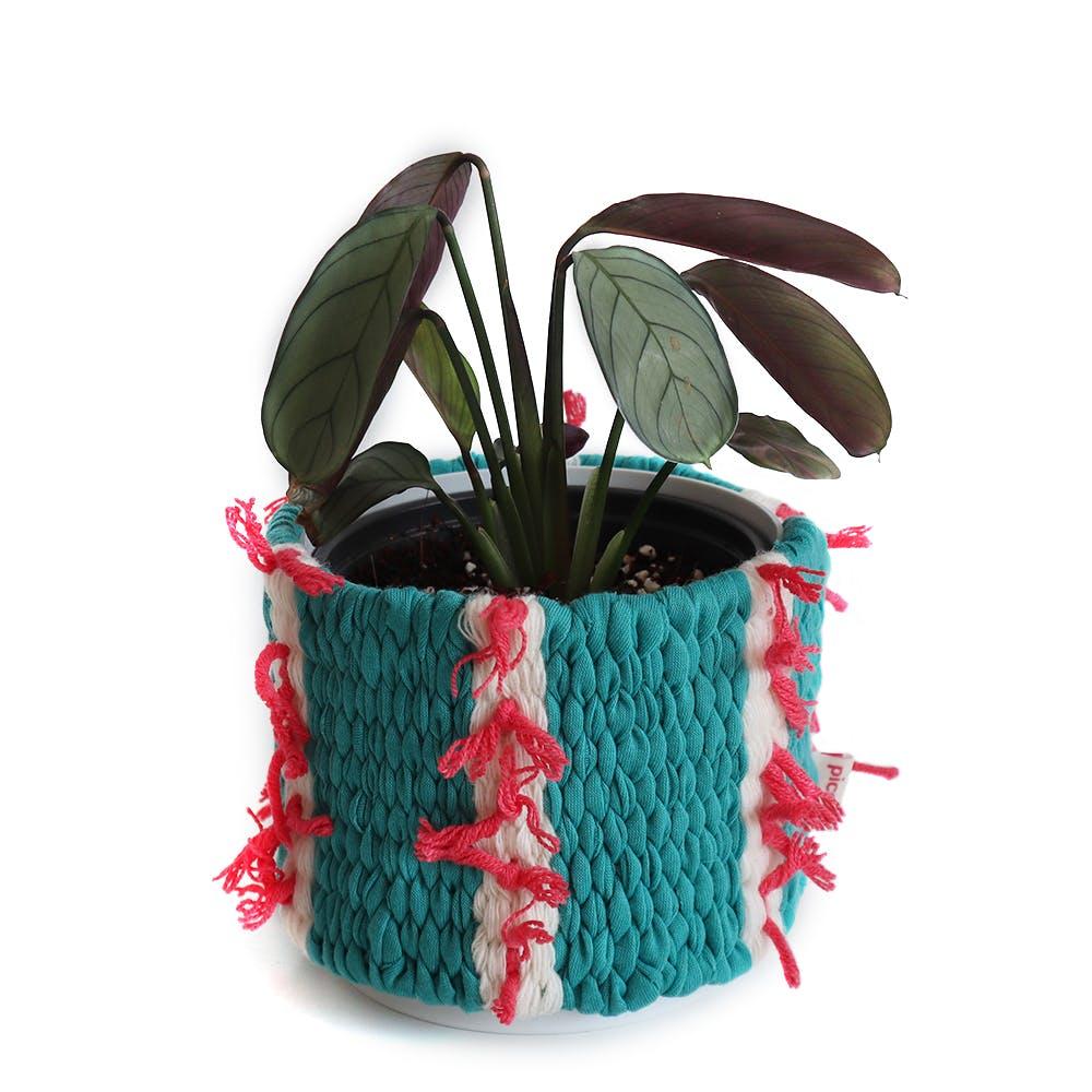 삐삐 팟 커버 _ 틸그린