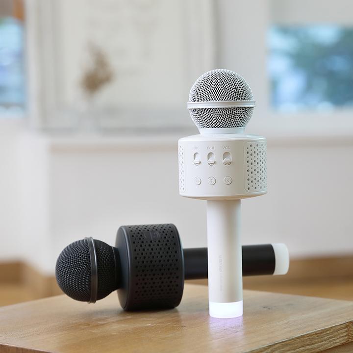 에브리싱 마이크