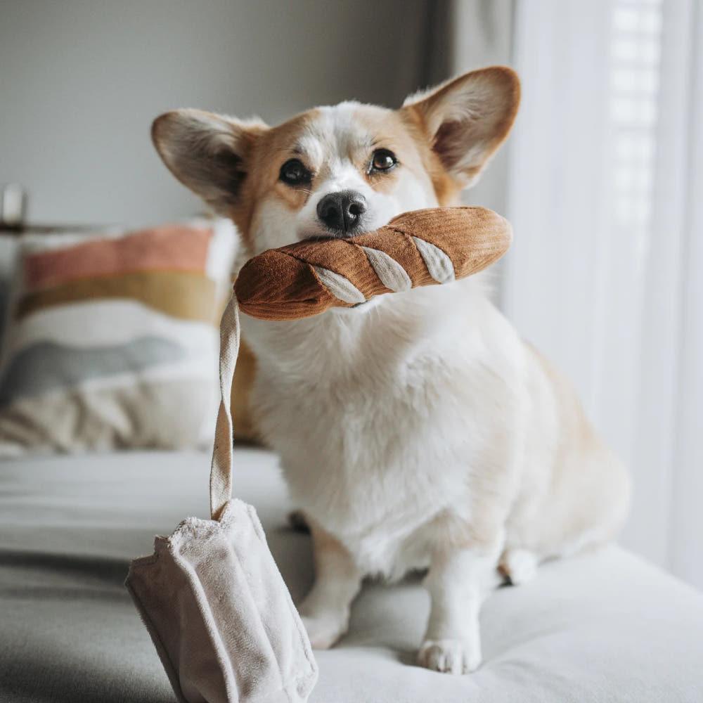 미니 바게트 (MINI BAGUETTE) 노즈워크장난감, 삑삑이장난감, 반려견분리불안해소 장난감