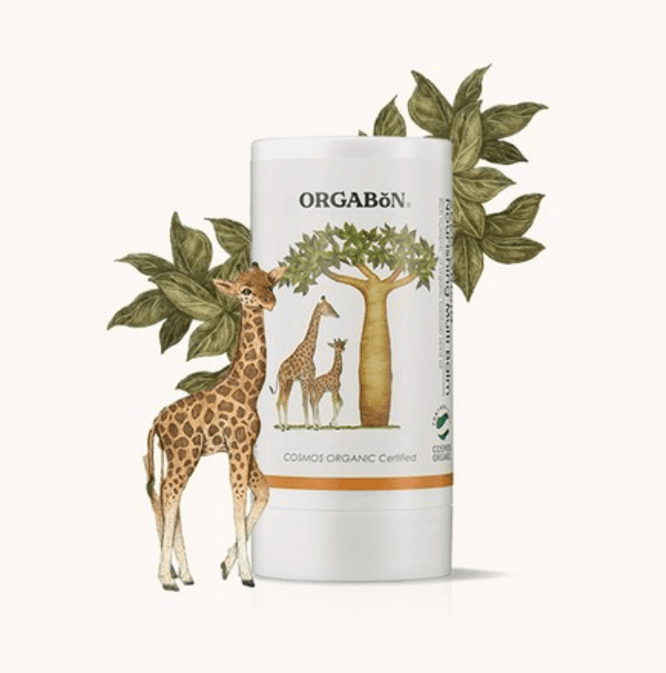 오가본 씨앗품은 영양 멀티밤, 20ml, 1개