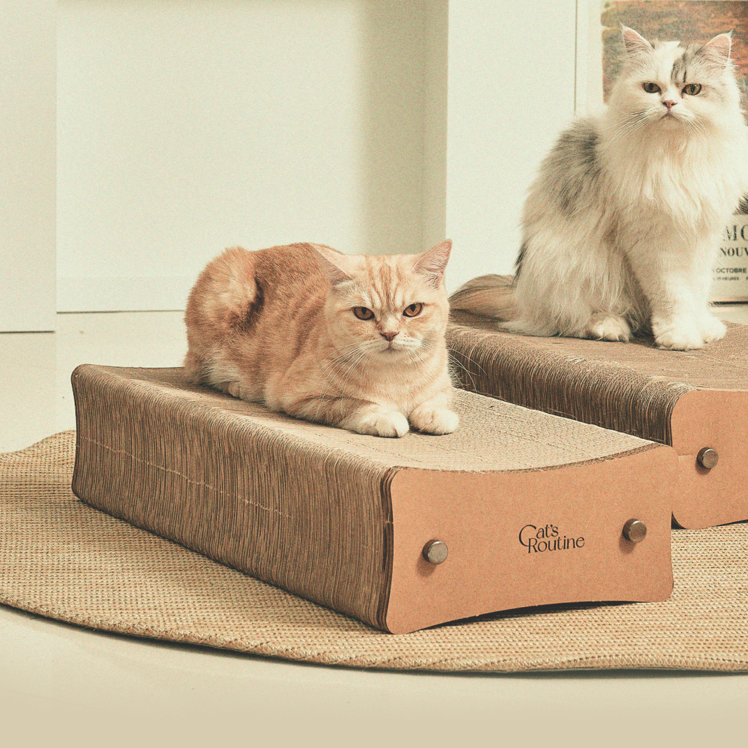 캣츠루틴 라운지 스크래칭 보드 290/360
