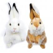 [한사토이] 토끼 동물인형세트(흰색,갈색) 32cm.H 3313/3316