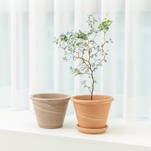 데로마 테라코타 이태리토분 빈티지 대형 인테리어화분 분갈이화분 바숨듀오 17cm