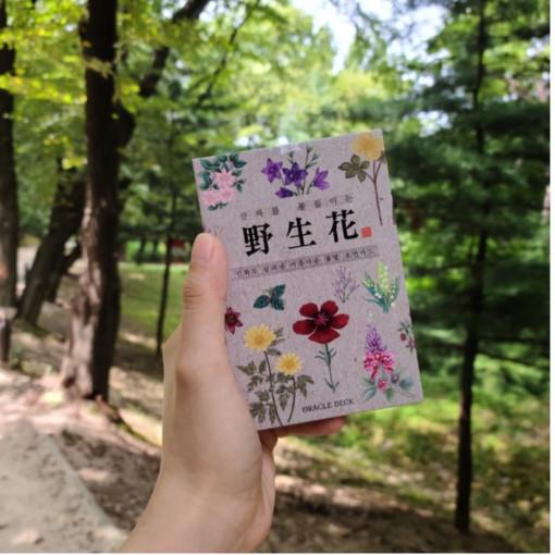 야생화 꽃말 한글해설서 주머니 제공 전통 프라임뮤즈 오라클 타로카드