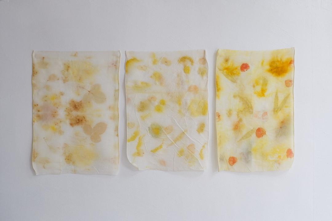 Meet the grove | TEAK x grove. Ⅱ