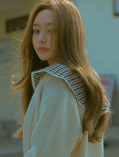 �����밡��) ���̾�� ����C���� (��������/��Ʈ��)