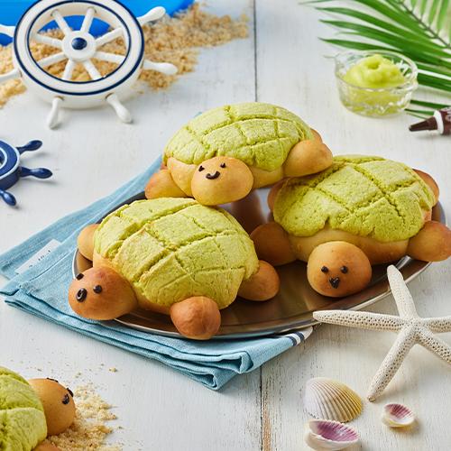 [밀키트/베이킹DIY]거북이메론빵 만들기세트