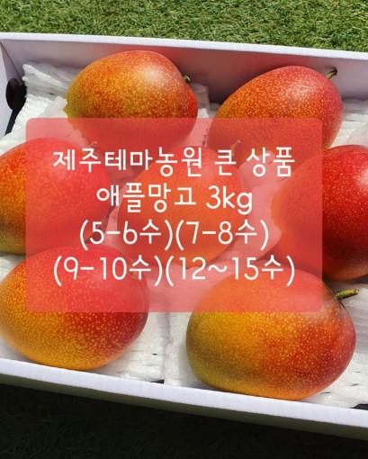 제주 애플망고 선물용 2kg, 3kg 최고의 상품