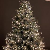 윈터나잇 지네전구 크리스마스 트리 전구 200구 6m