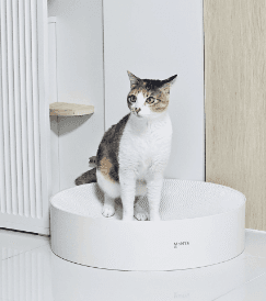 [무료배송] 모냐 톤앤톤 원형 초대형 스크래쳐 화이트/브라운