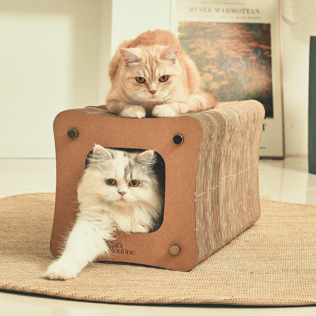 캣츠루틴 라운지 스크래칭 벤치