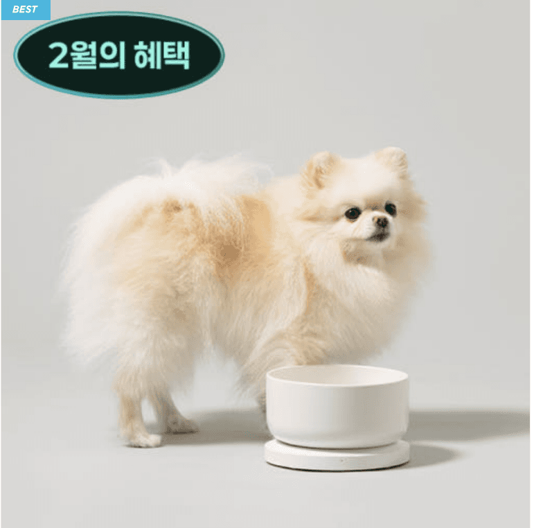 스마트 수반 웰리 강아지 고양이 스마트 물그릇[베이직팩]