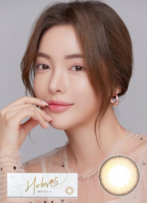 악마 원데이 홀로리스 진저브라운