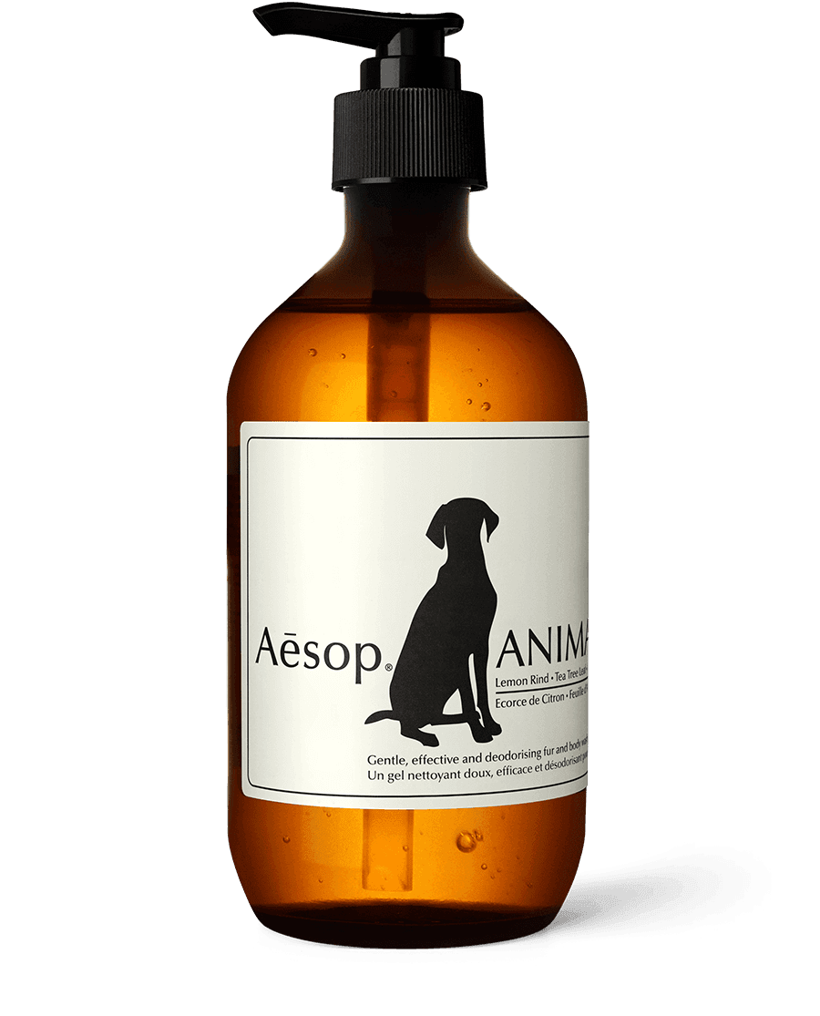 Animal | Aesop 대한민국