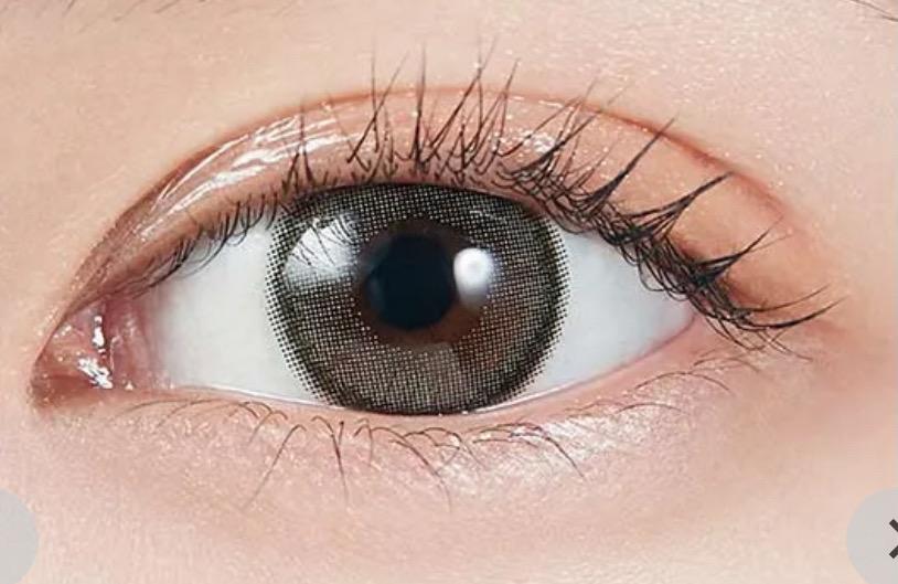 MOLAK 모라쿠 원데이 다즐그레이(1박스 10개들이)