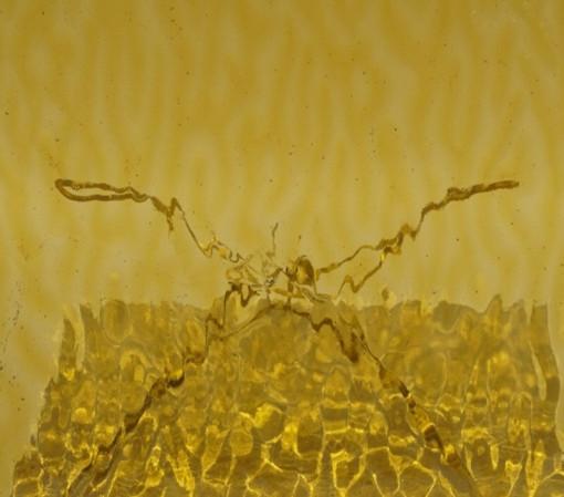 스테인드글라스 유리공예 유리 황갈색 큰물결