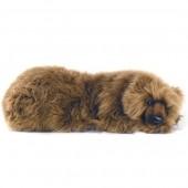 4801 잠자는곰 동물인형/105cm.L