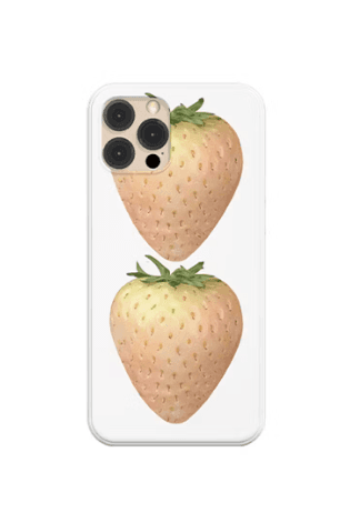 Strawberry case