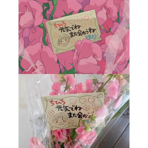 센과 치히로의 행방불명 꽃다발 메세지 카드 지브리 영화 속 치히로 스위트피 꽃다발 만들기