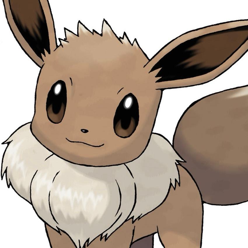 포켓몬 이브이 카드세트 22종