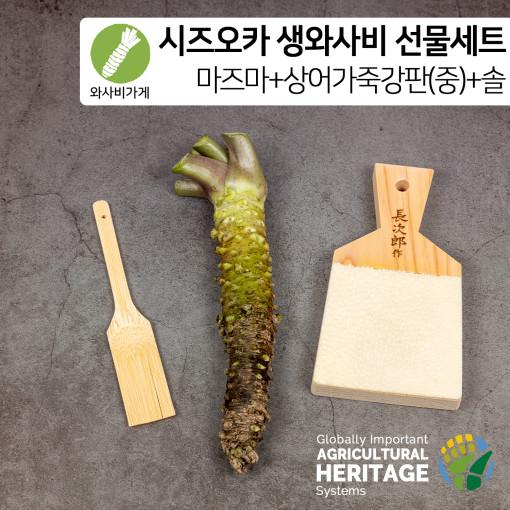 시즈오카 마즈마 생와사비+상어가죽강판(중)+와사비전용 대나무솔(50~60g)