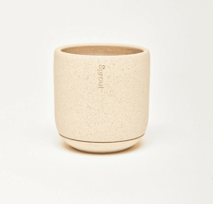 [스프라우트] Sprout A_Sand L