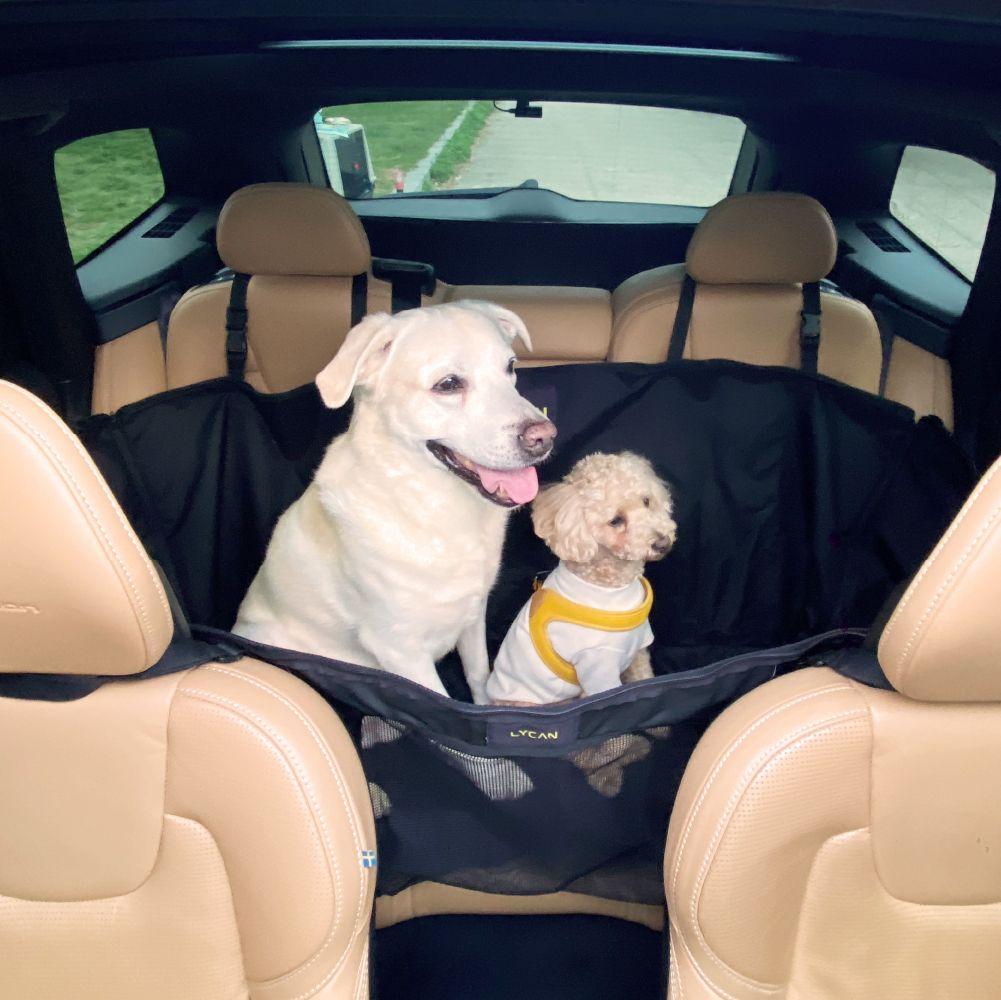 [무료배송] 라이칸 털날림 방지 방수 올커버 카시트 M/L