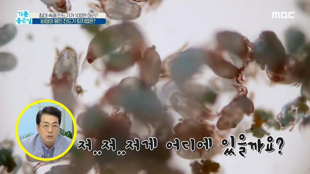 [기분 좋은 날] 비염의 원인 진드기 퇴치법은? MBC 201208 방송
