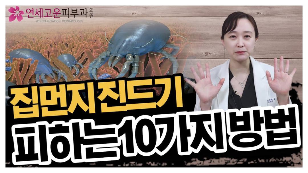 아토피,천식을 유발하는 주범! 집먼지진드기 박멸하러가시죠😈