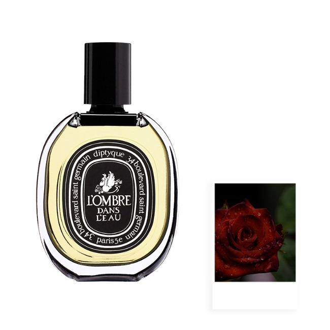 딥디크 롬브로단로 오 드 퍼퓸 75ml